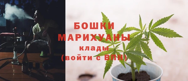 круглые Белокуриха