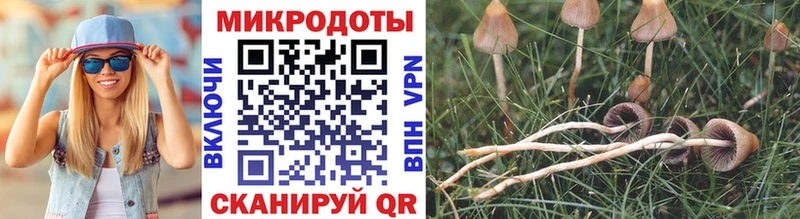 дарнет шоп  Гатчина  blacksprut сайт  Галлюциногенные грибы мухоморы 